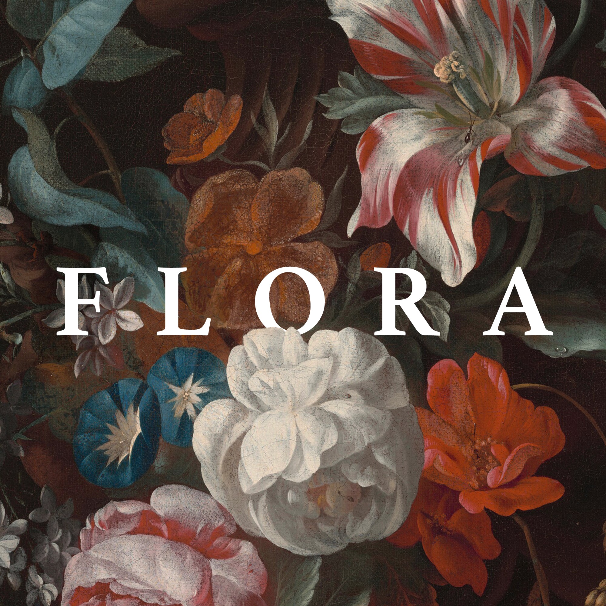 Flora