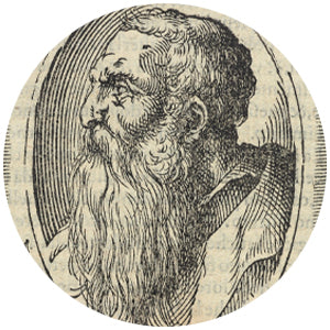 Fiorentino Rosso
