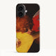 iPhone 17 / Slim Case