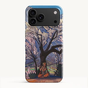 iPhone 17 Pro Max / Slim Case