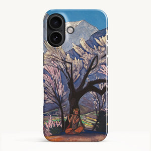 iPhone 17 / Slim Case