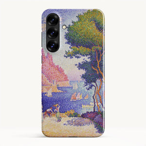 Galaxy S25 Plus / Slim Case