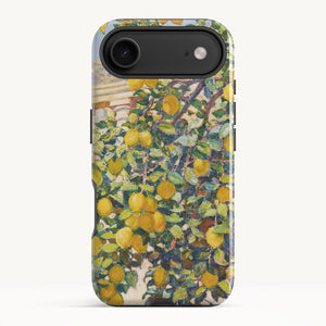 iPhone 17 Air / Tough Case