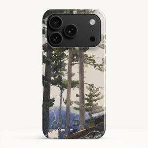 iPhone 17 Pro / Slim Case